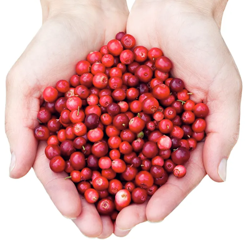 Let’s talk Cranberry supplements.