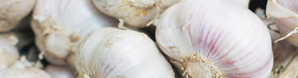 The Garlic Controversy: Are They As Dangerous As Onions?